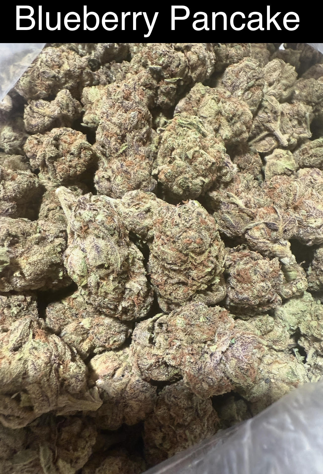 Mix & Match flower SALE - RESTOCK