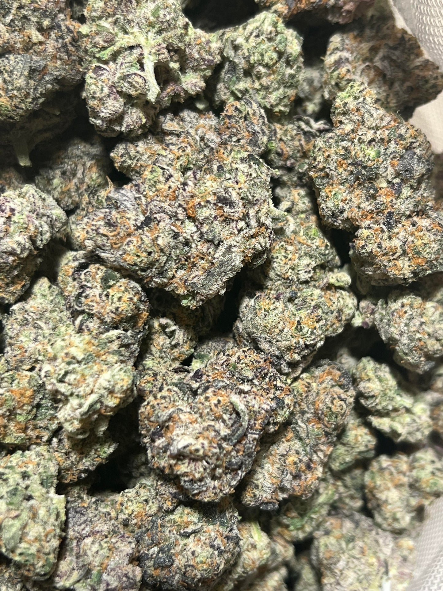 Gush Mintz (indoor)