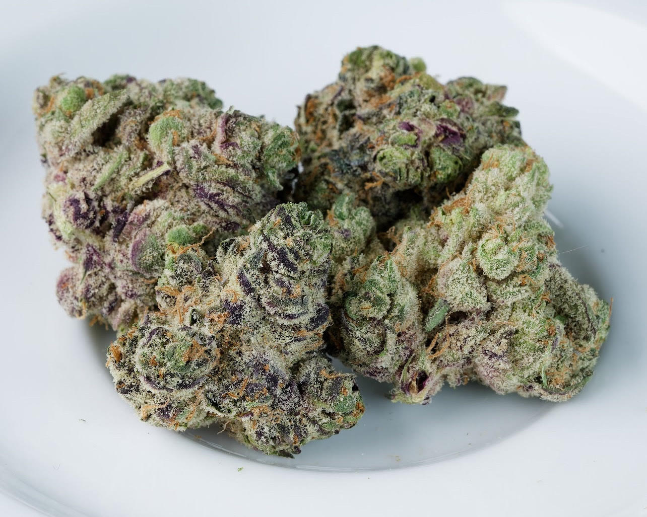 Hippie Chicken top shelf indoor flower