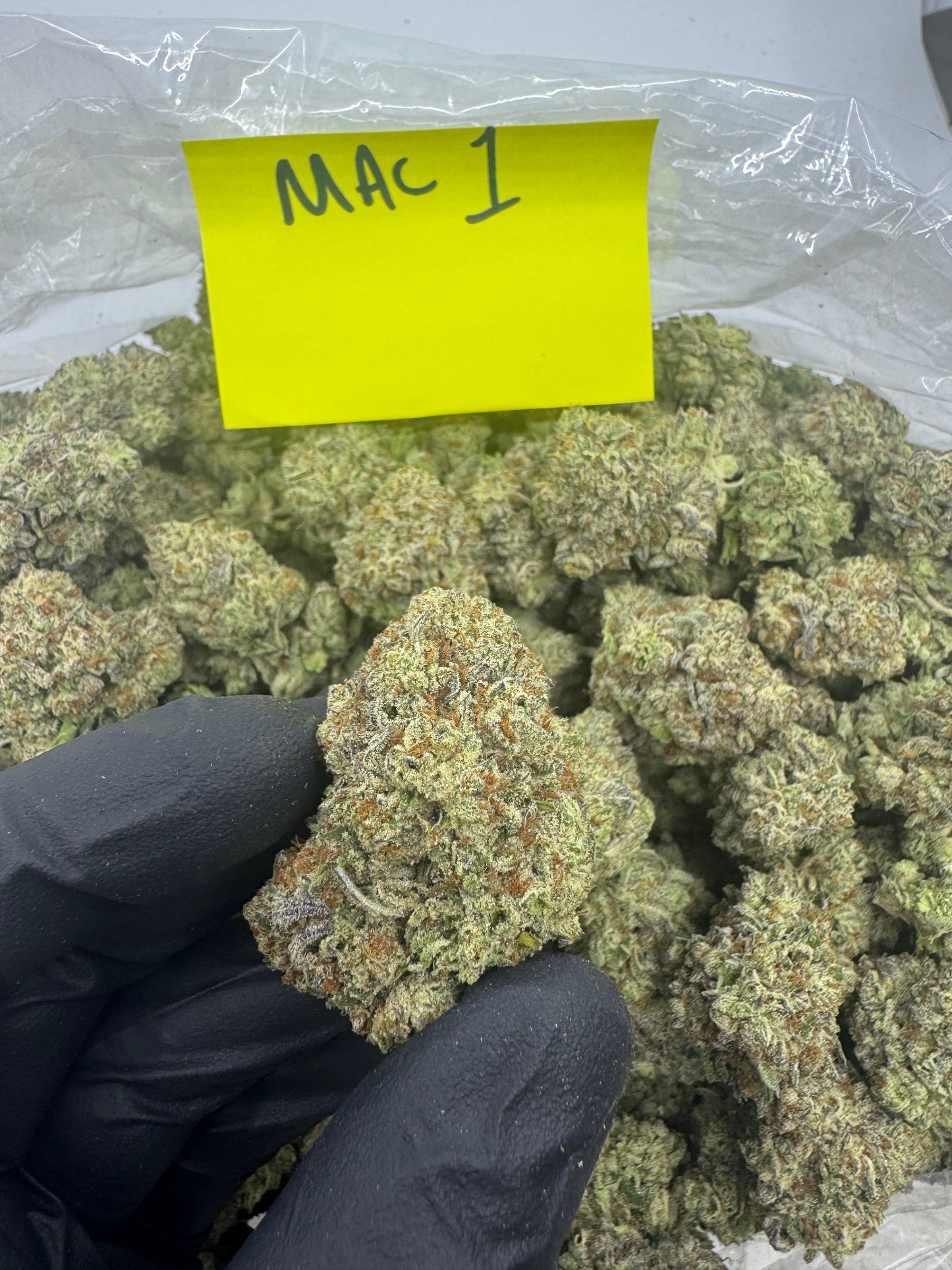 Mix & Match flower SALE - RESTOCK
