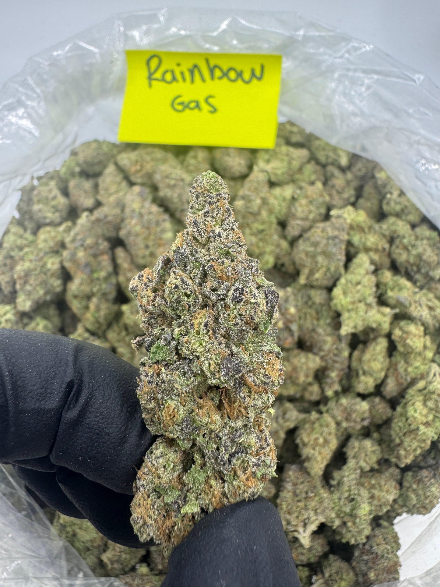 Mix & Match flower SALE - RESTOCK