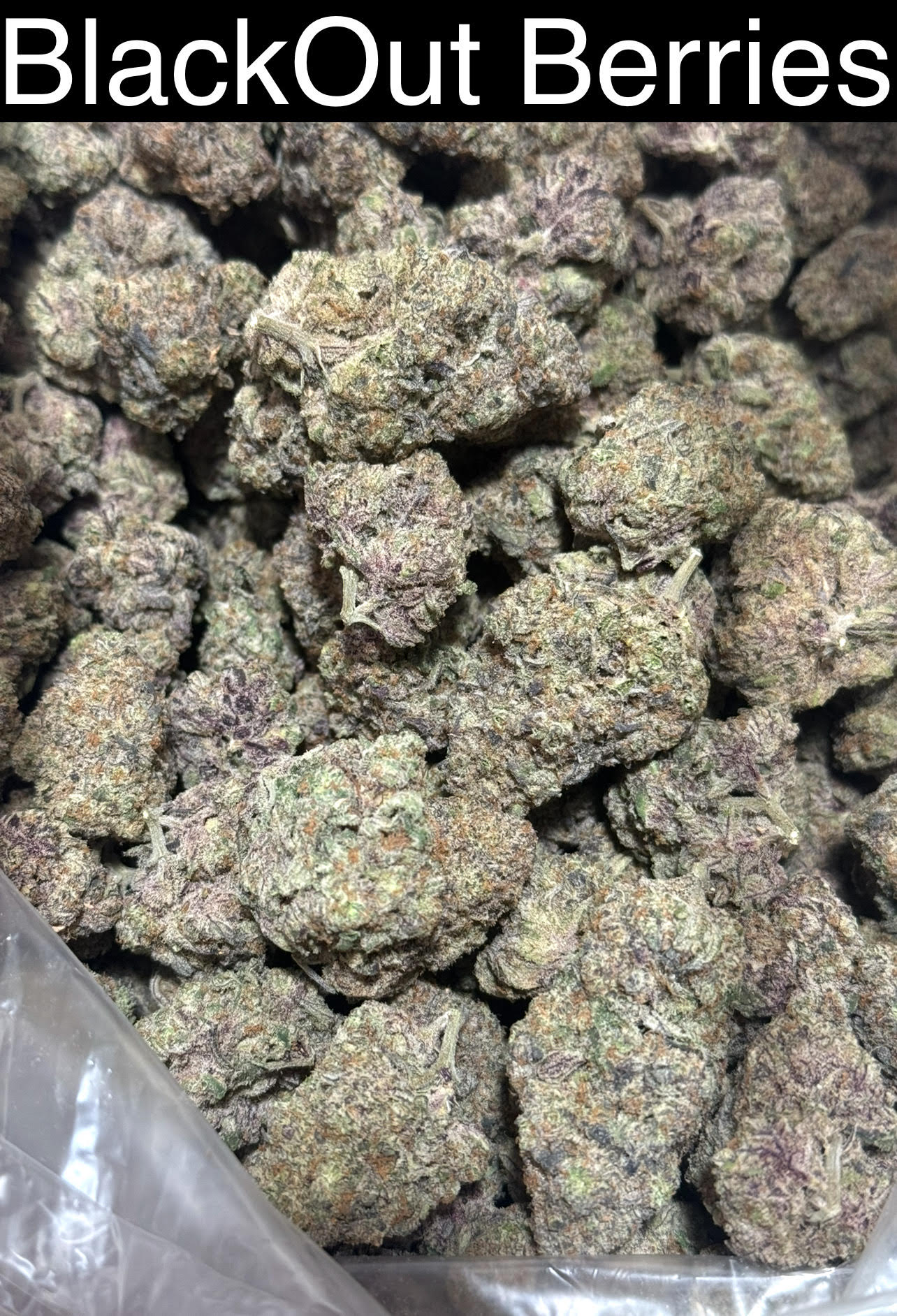 Mix & Match flower SALE - NEW DROP w/ PICS