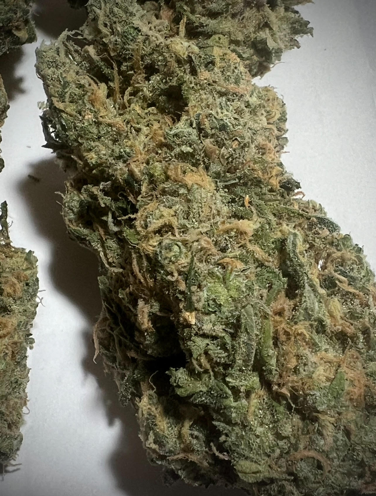 Blue Dream top shelf indoor hemp flower