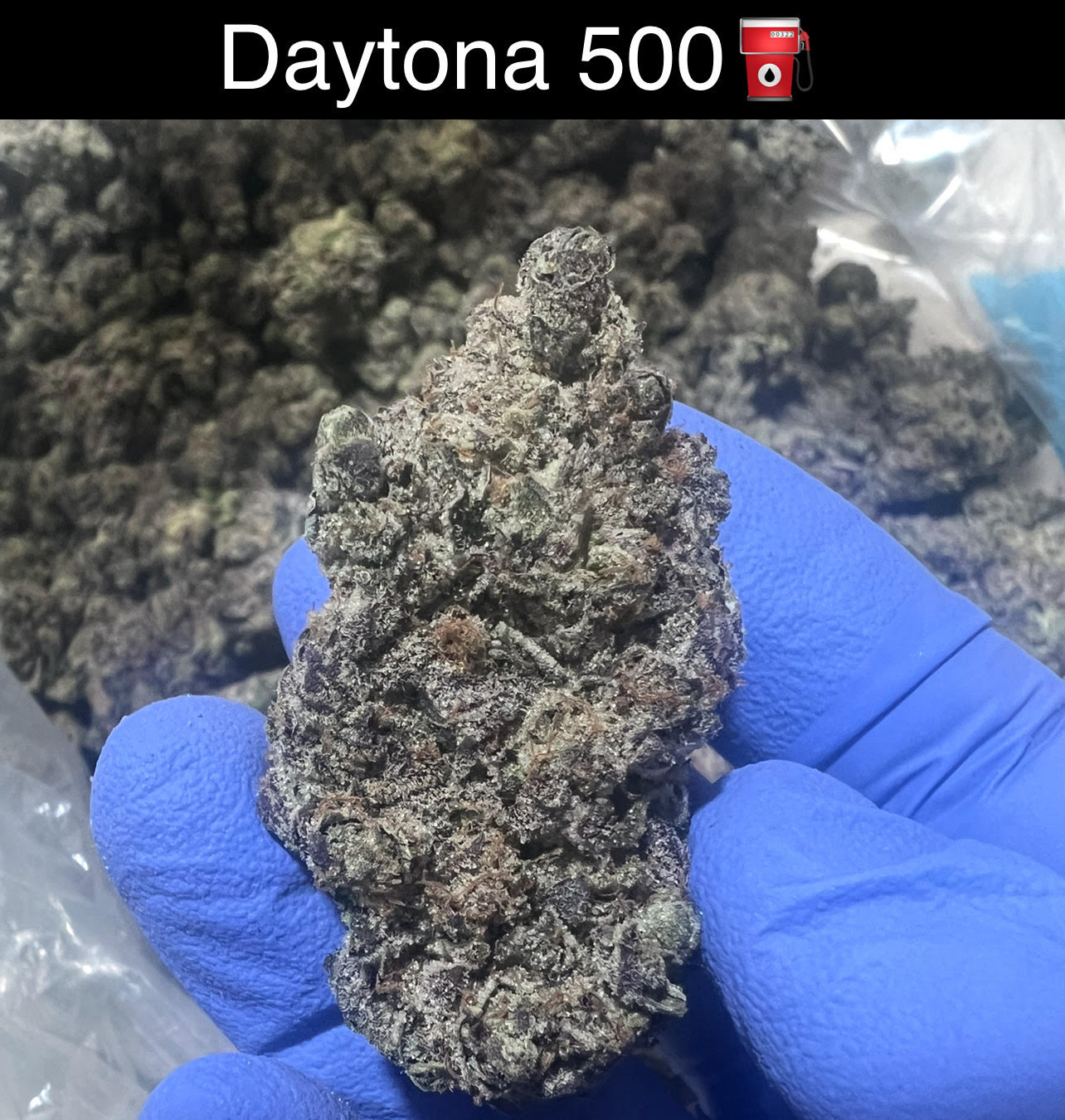 Mix & Match flower SALE - NEW DROP w/ PICS