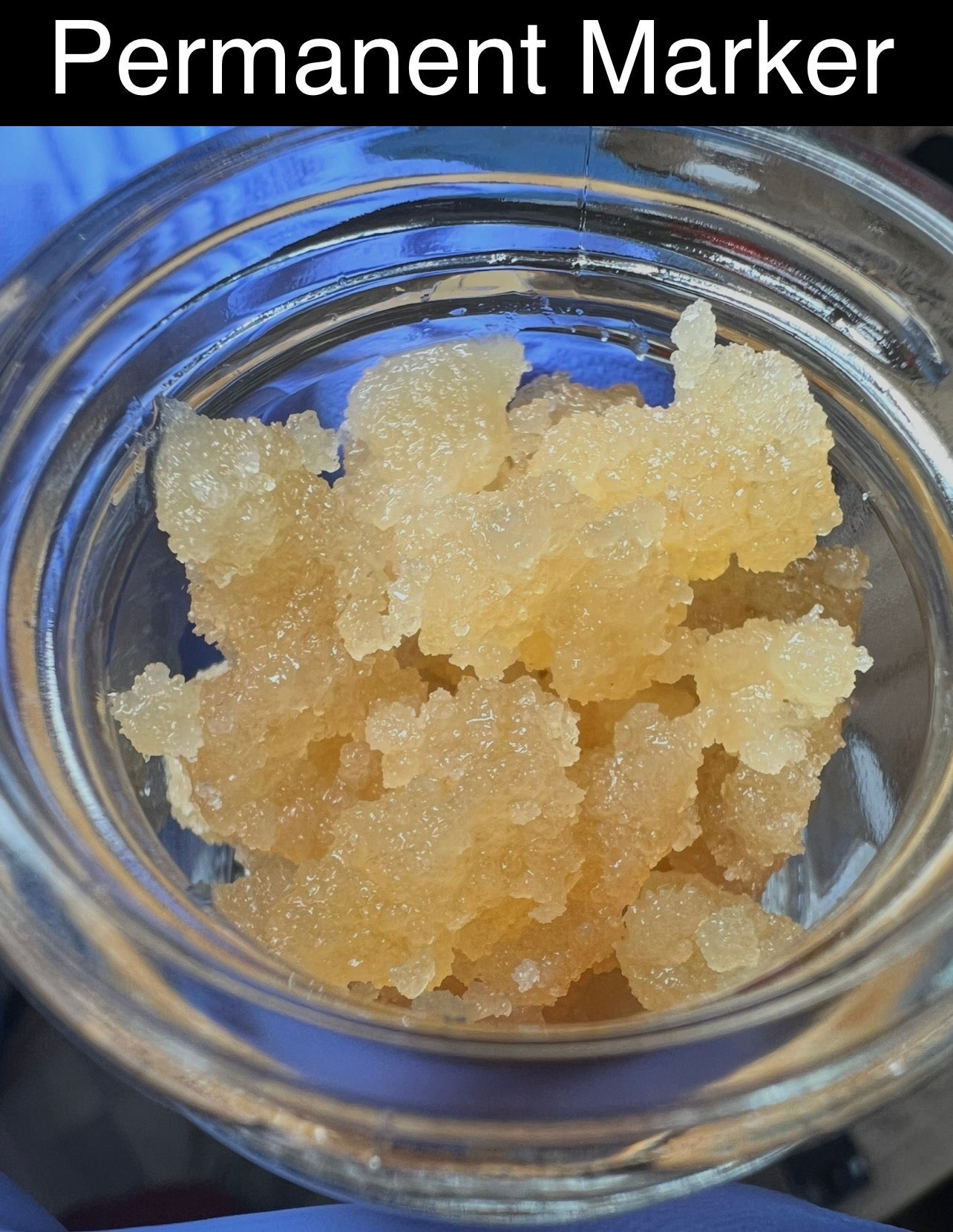 Budget BHO - (ALL ORDERS 2/18 - 3/7 Entered to win giveaway)