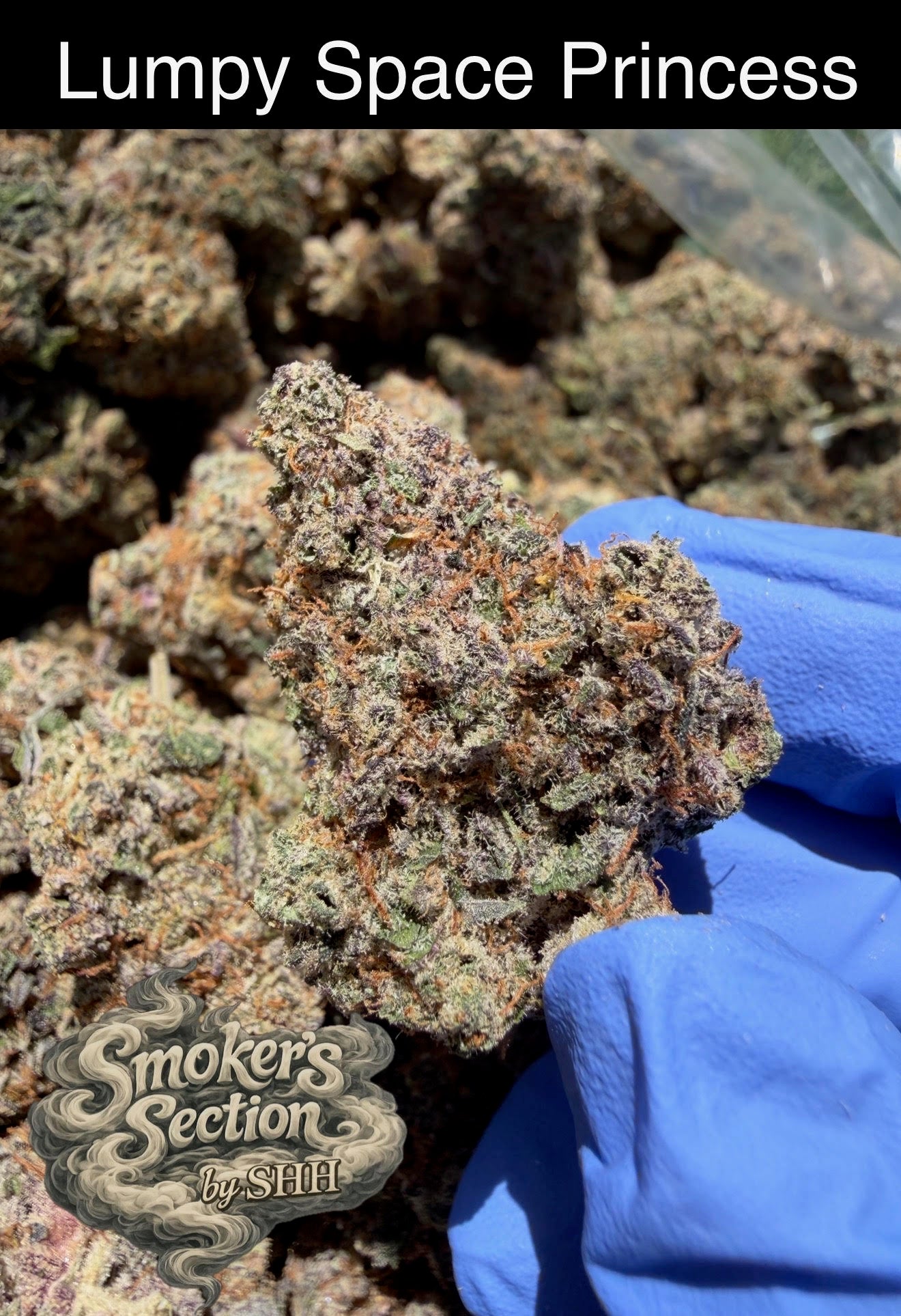 Smoker's Section - DROP