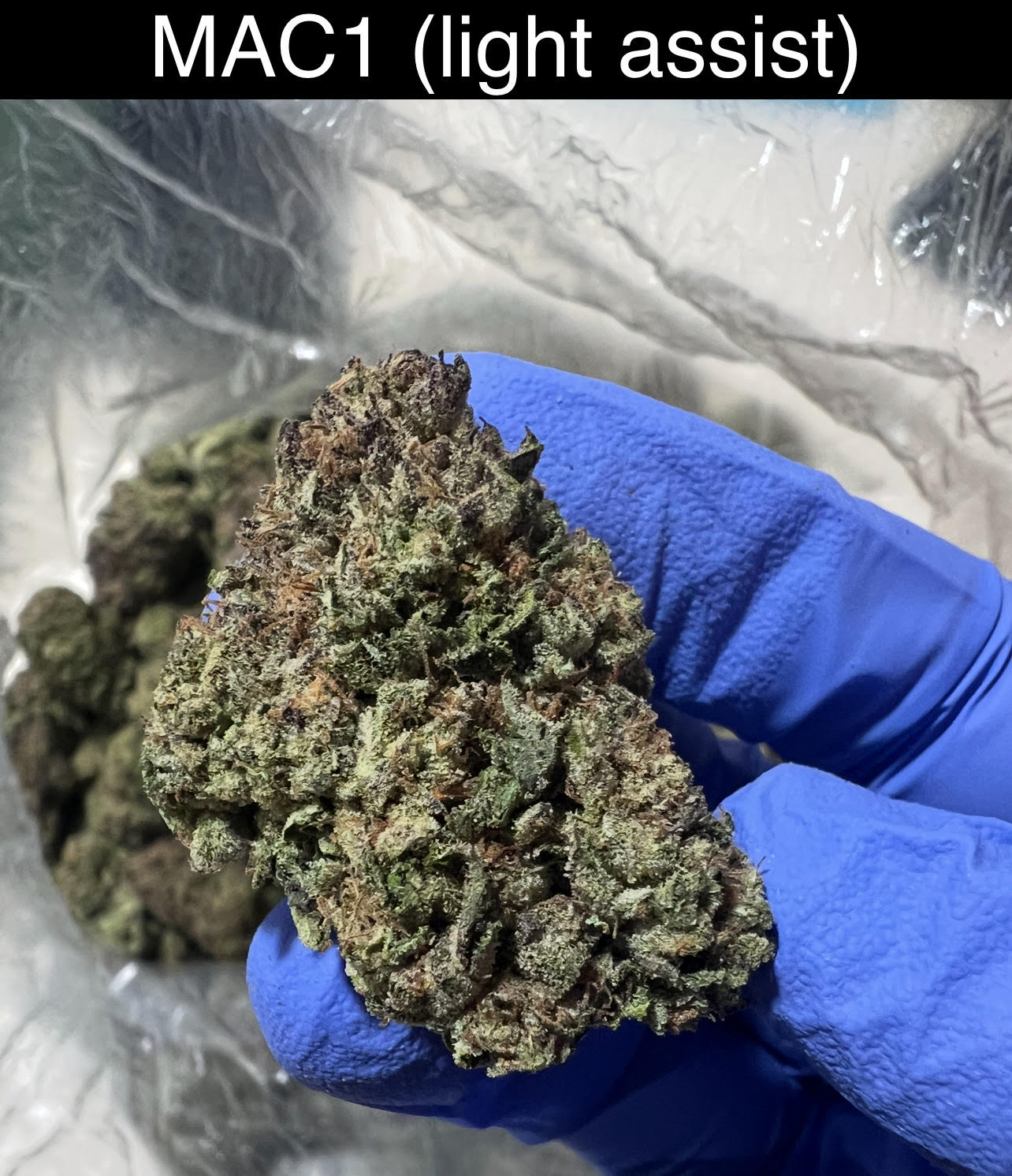 Mix & Match flower SALE - NEW DROP w/ PICS