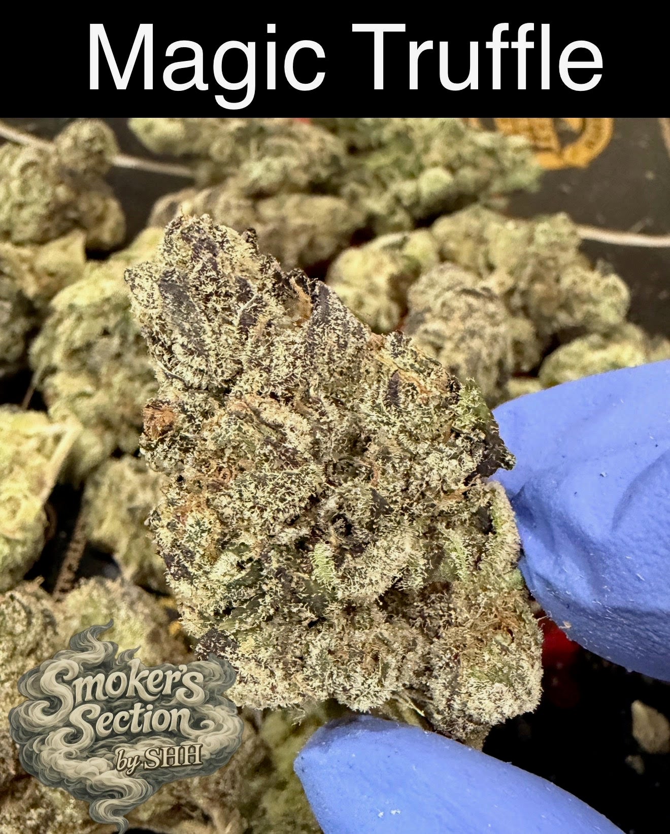 Smoker's Section - DROP