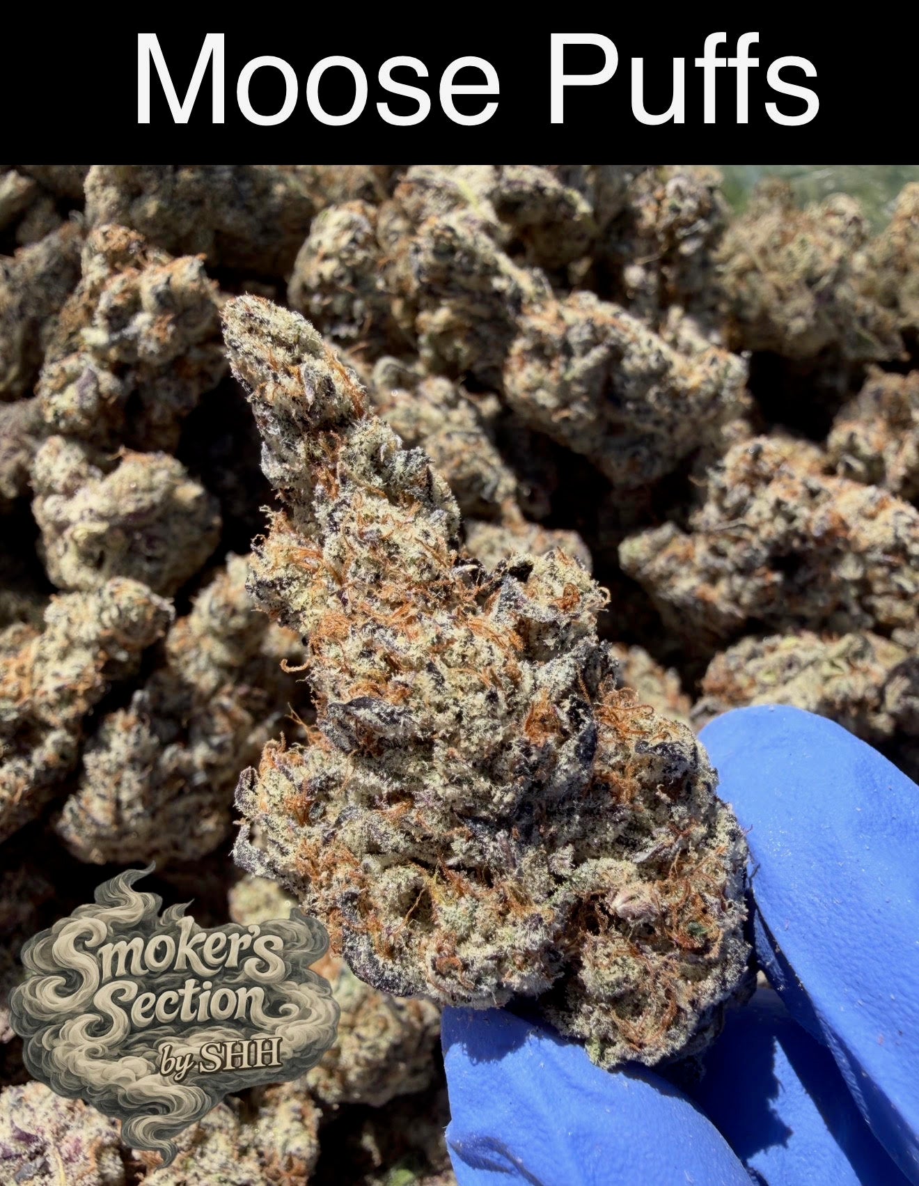 Smoker's Section - DROP