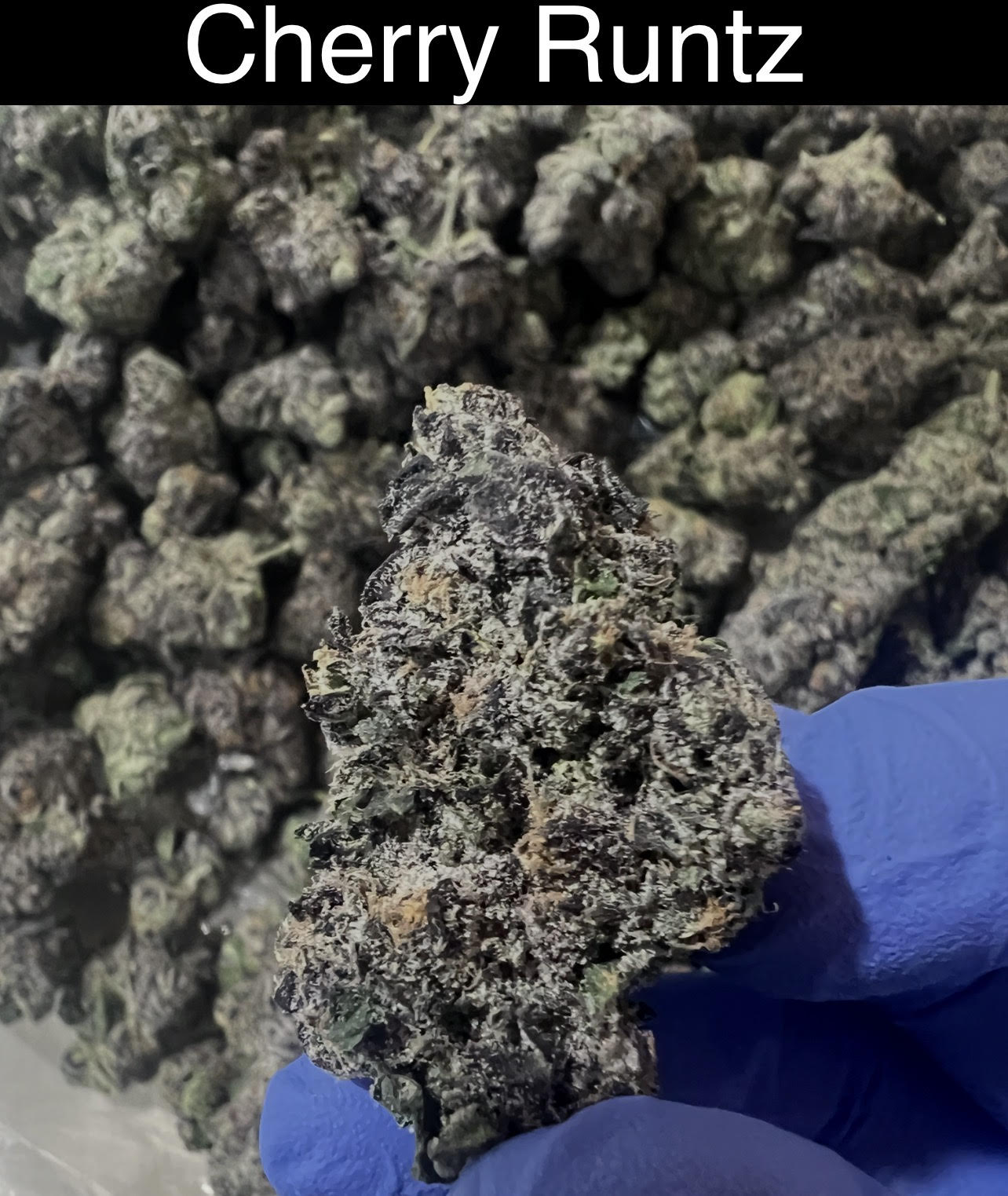 Smoker's Section - DROP