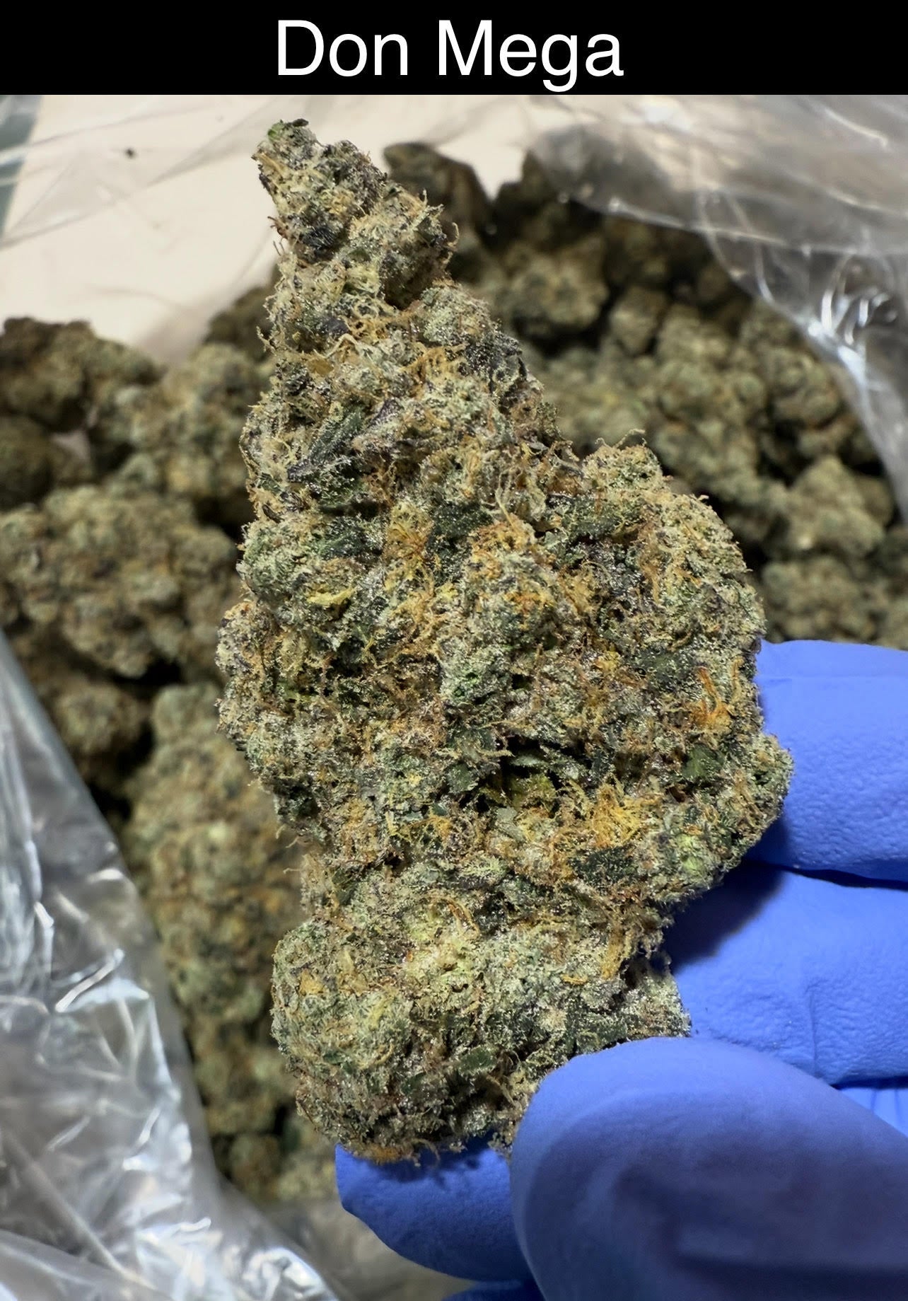 Mix & Match flower SALE - NEW DROP w/ PICS