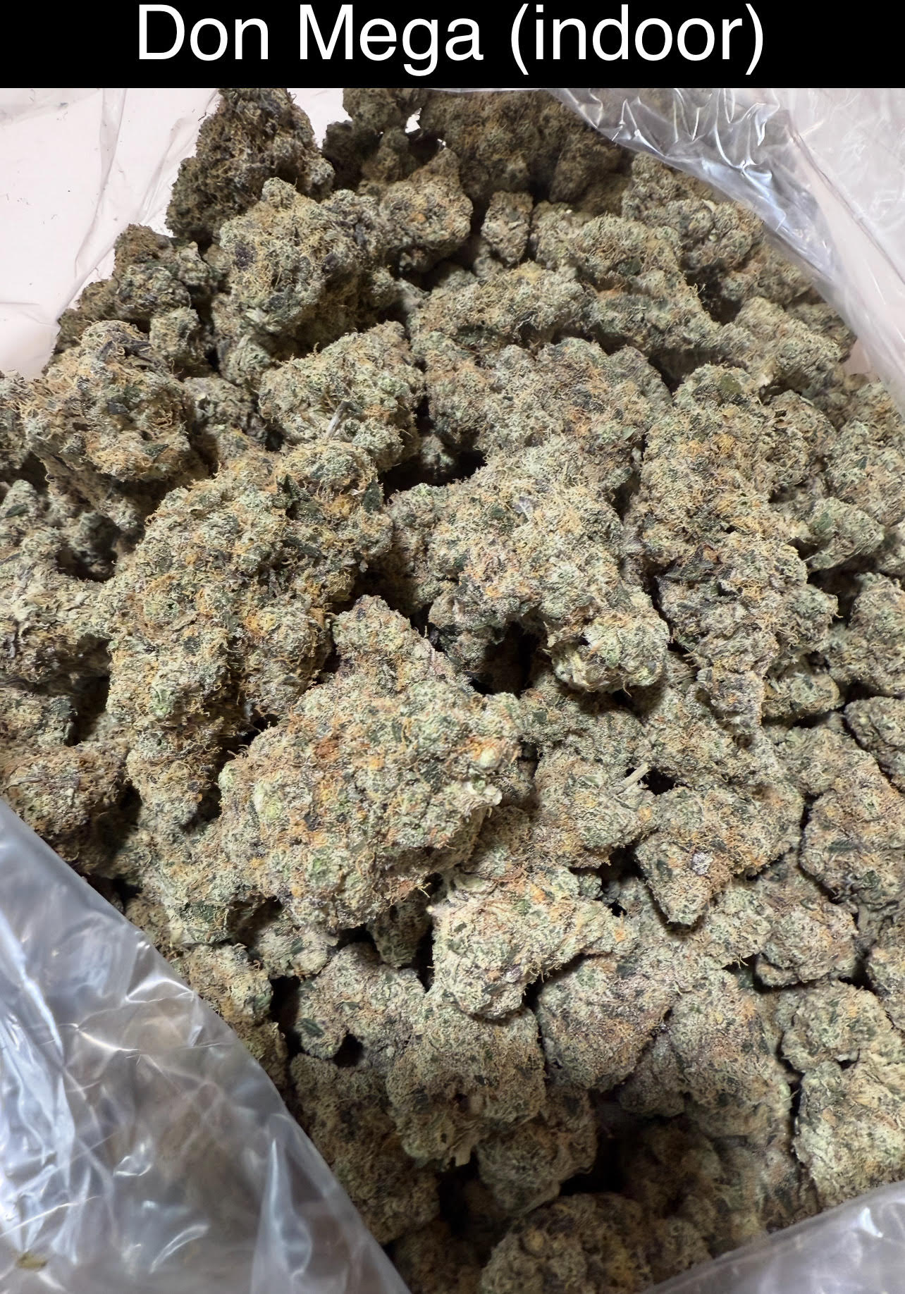 Mix & Match flower SALE - NEW DROP w/ PICS