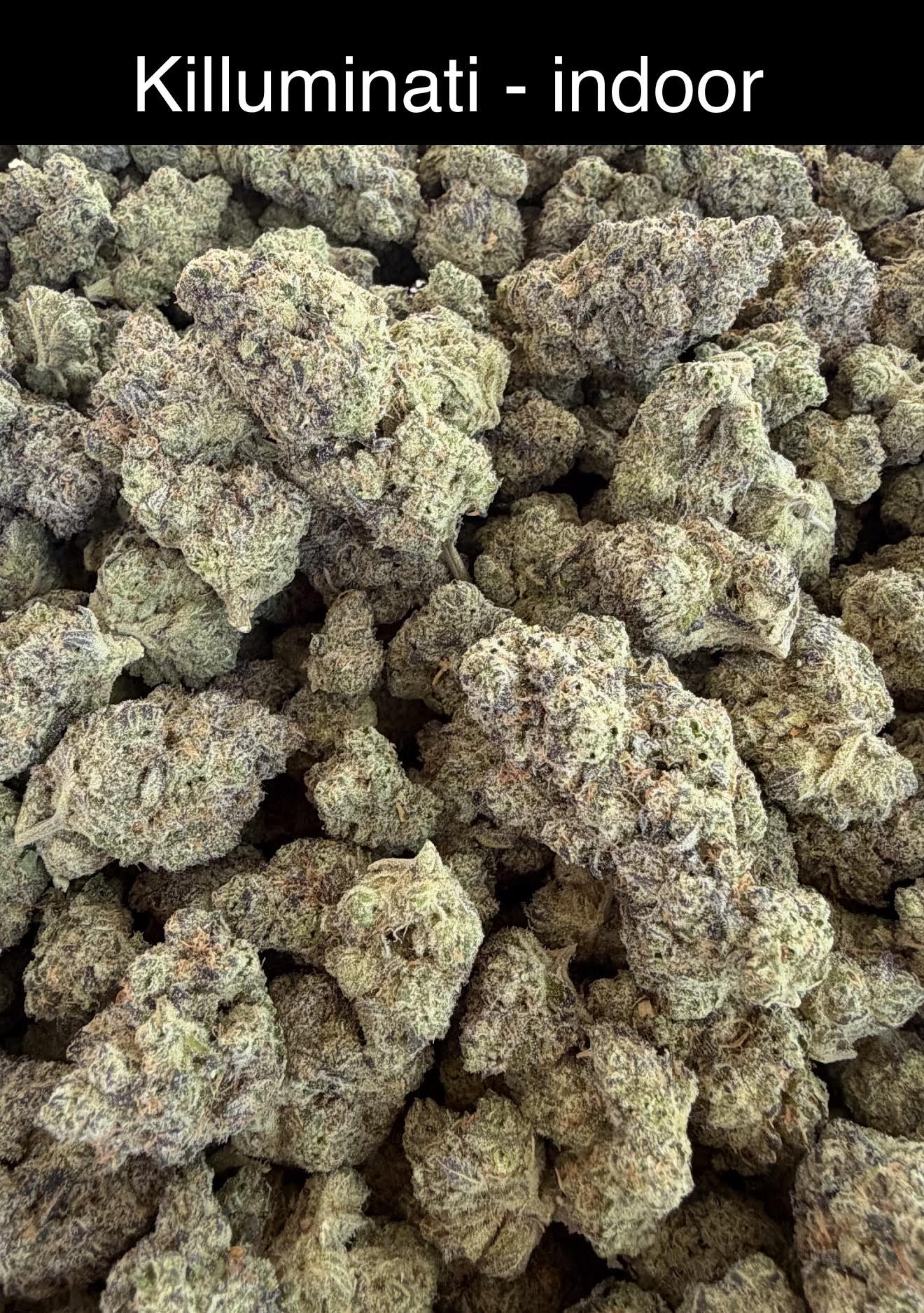 Smoker's Section - NEW DROP w/ Pics (Blueberry Sherb dropping Monday)