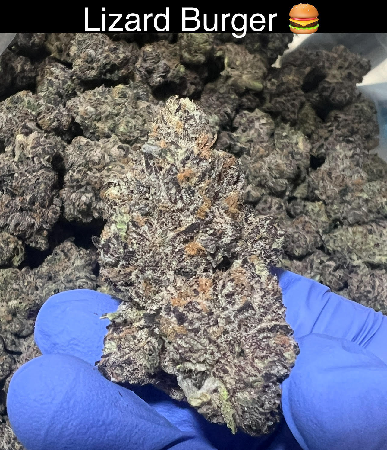 Mix & Match flower SALE - NEW DROP w/ PICS