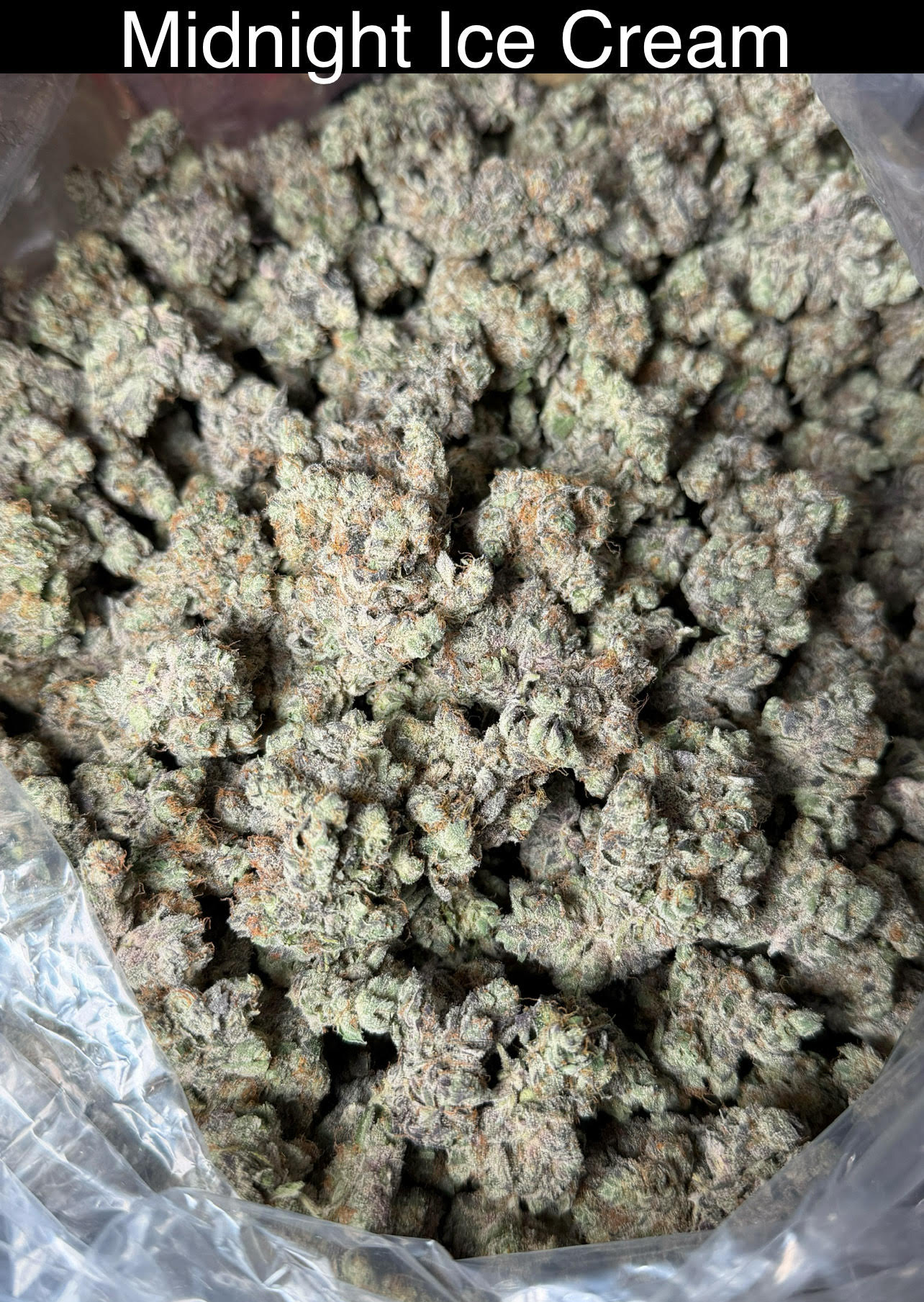 Smoker's Section - Friday indoor drop - Cheesecake and Purple Macarons