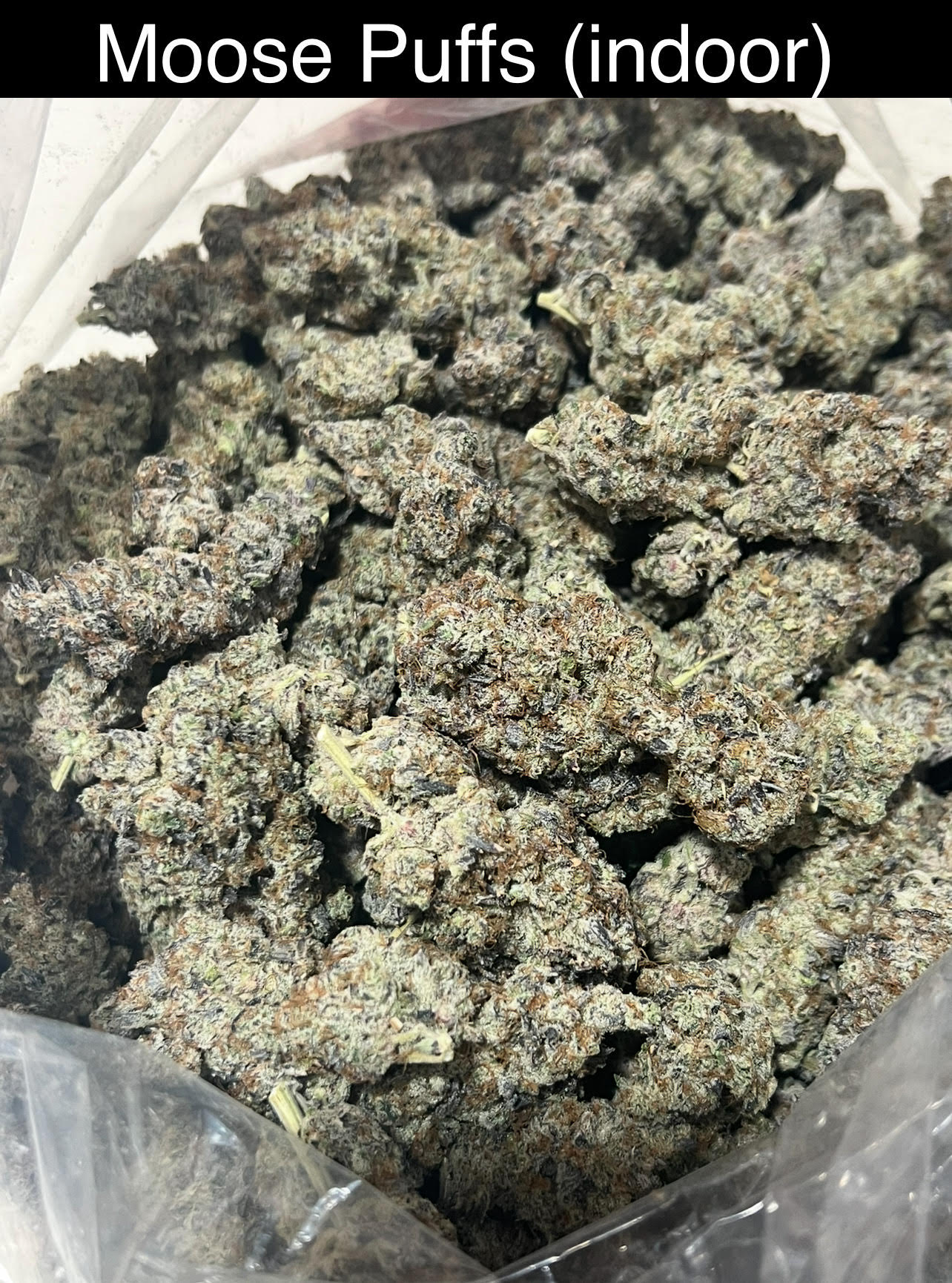 Mix & Match flower SALE - NEW DROP w/ PICS