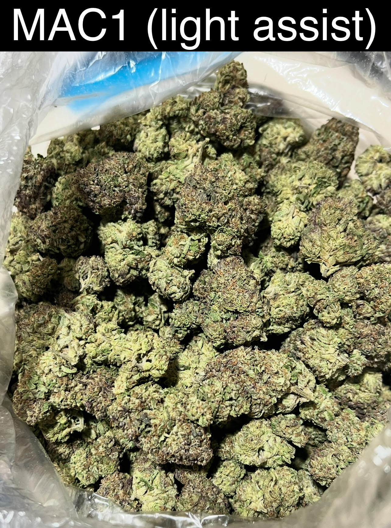 Mix & Match flower SALE - NEW DROP w/ PICS