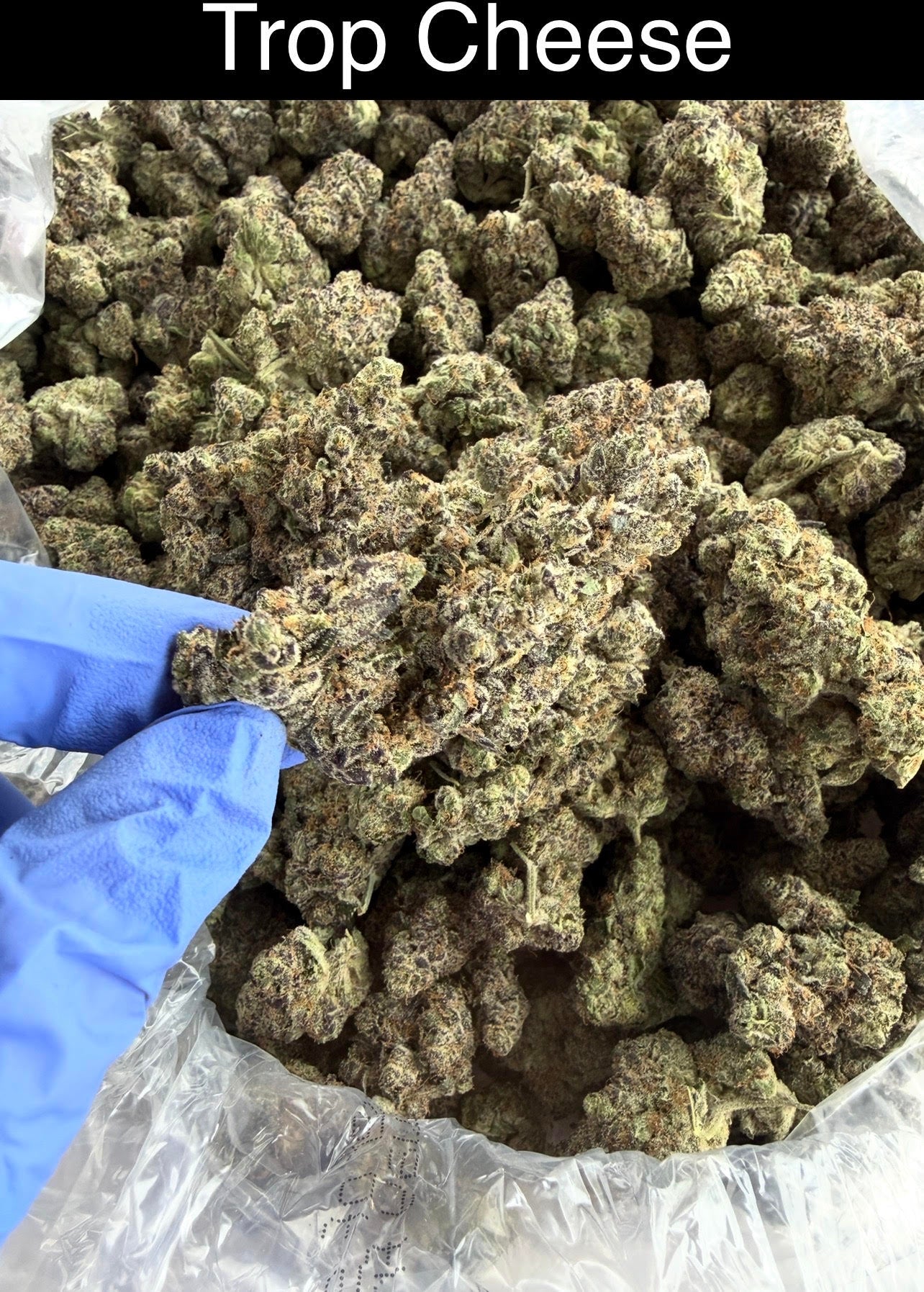 Smoker's Section - NEW DROP w/ Pics (Blueberry Sherb dropping Monday)